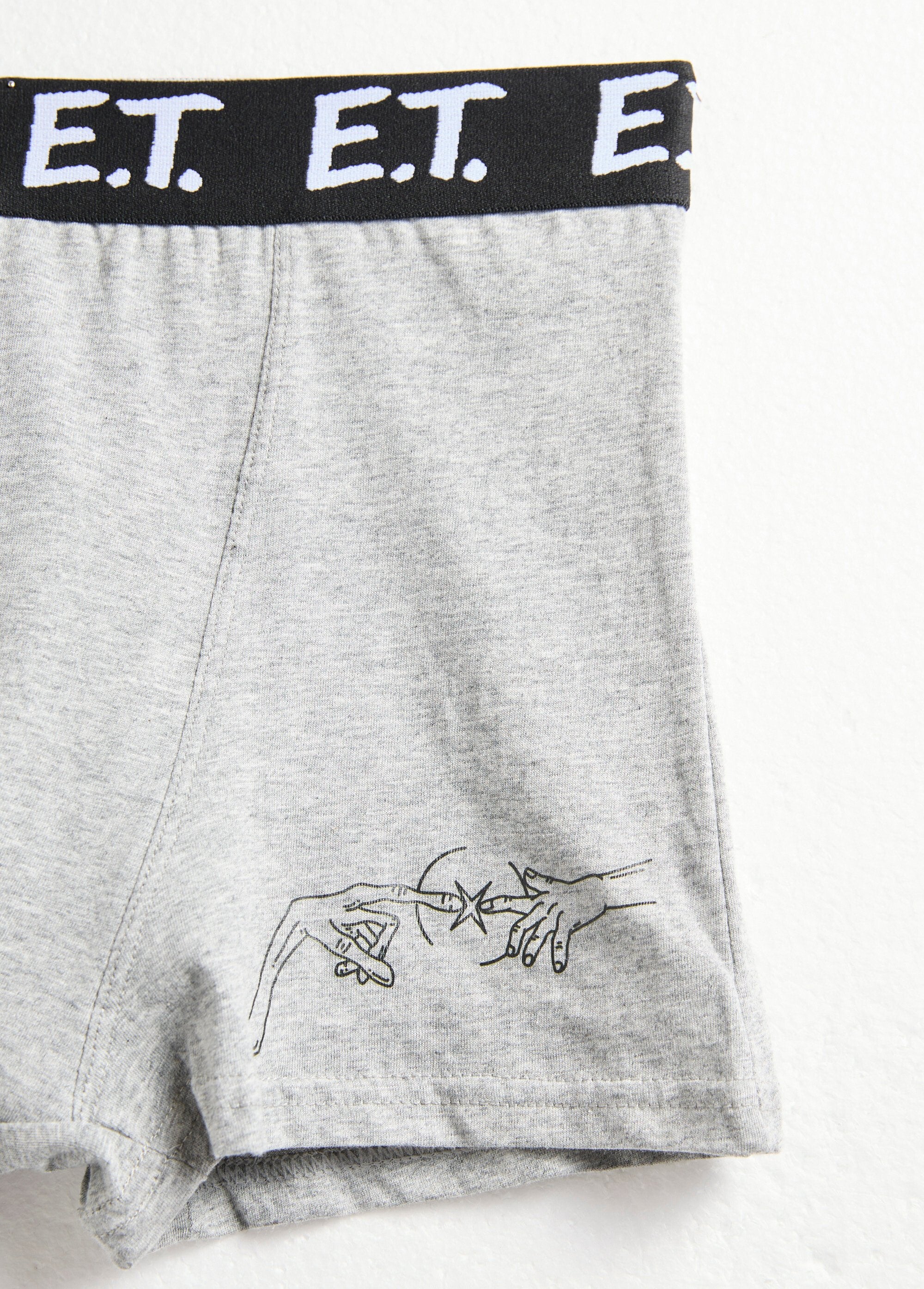 Boxeador_com_licença_ET_Gris_fonce_DE1_slim