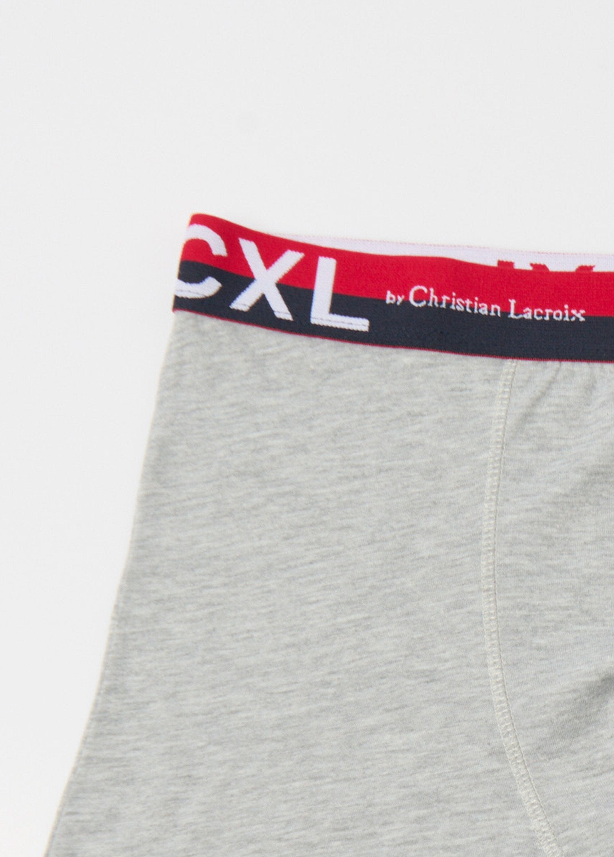 Pacote_de_4_boxers_lisos_com_cós_com_logotipo_Gris_clair_DE1_slim