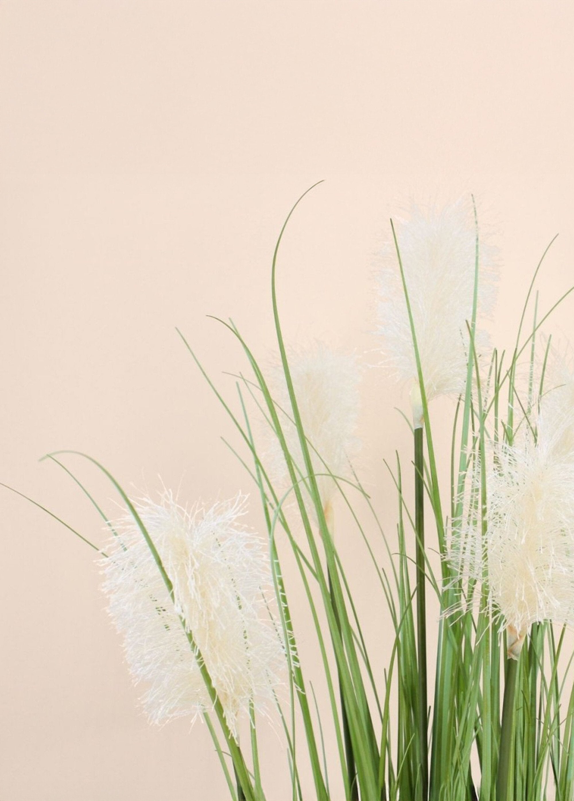 Planta_artificial_Erva-dos-pampas_Noir_DE1_slim