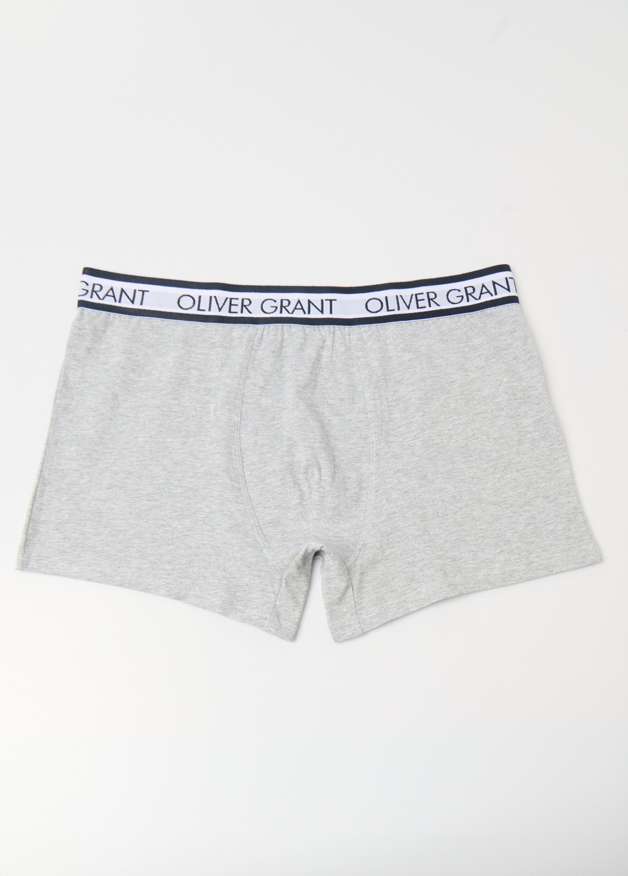 Cueca_boxer_lisa_com_cós_com_logo_Gris_FA1_slim