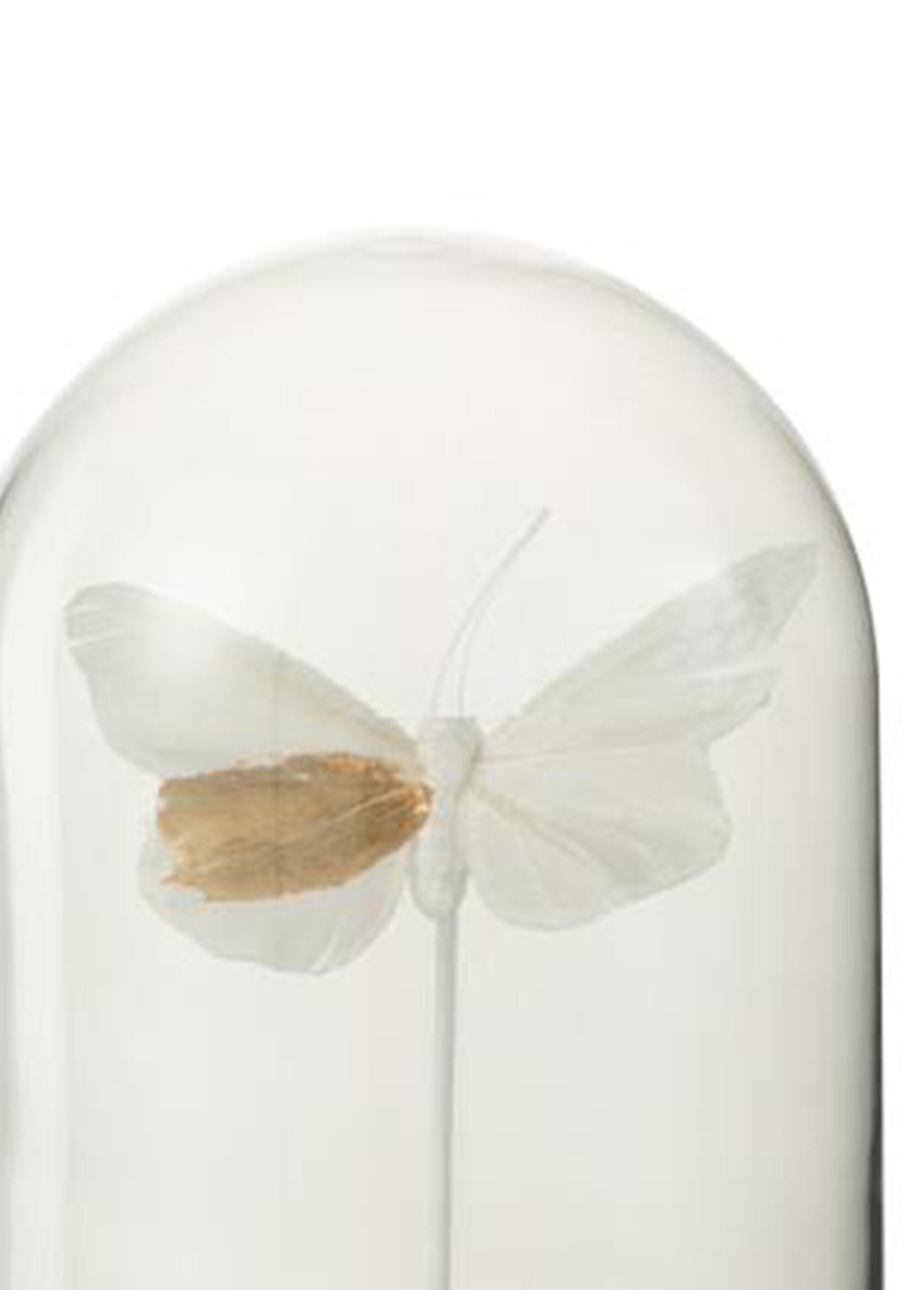 Sino_decorativo_em_vidro_com_borboleta_Blanc_DE1_slim