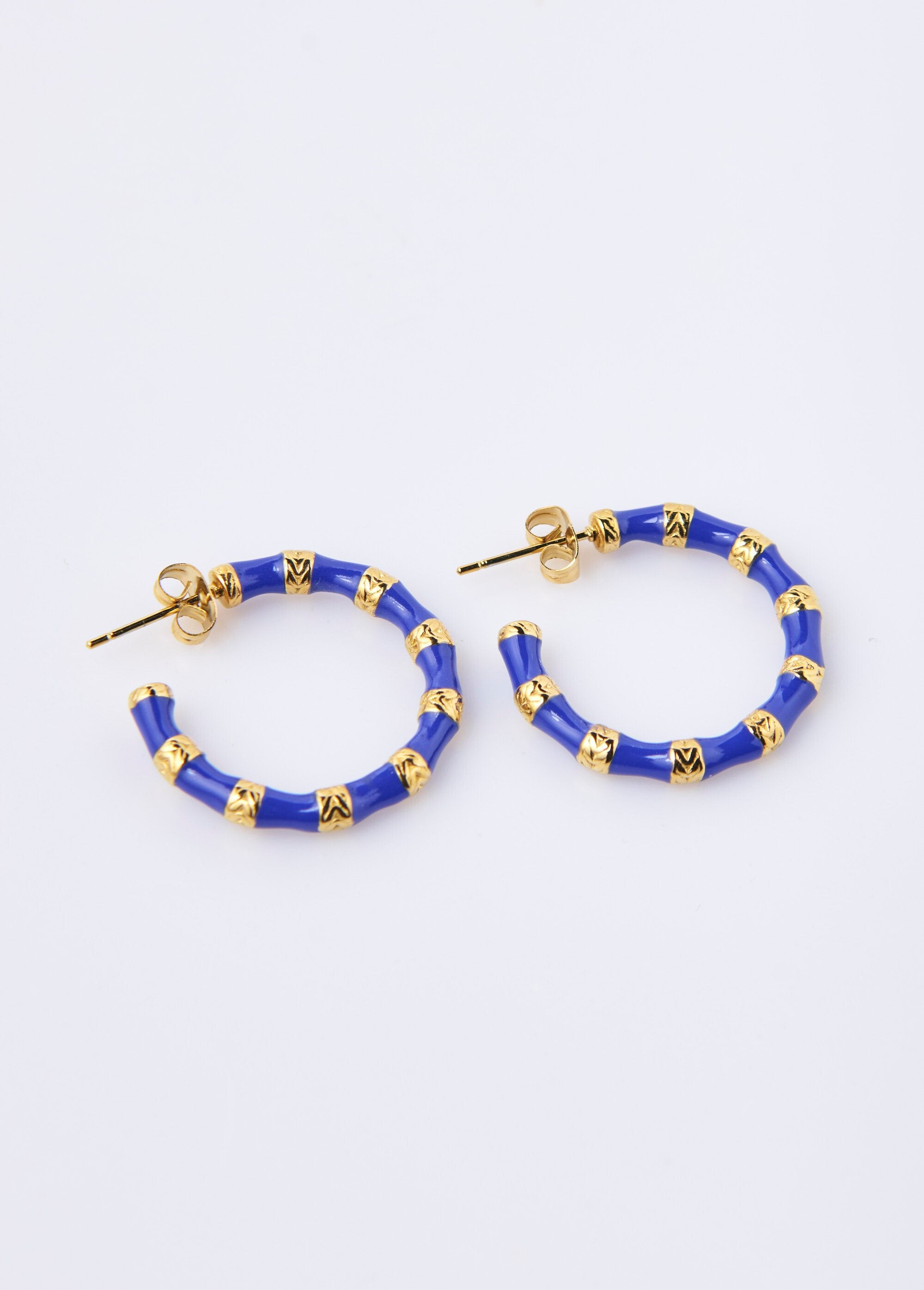 Brincos_de_argola_de_aço_inoxidável_de_dois_tons_Dore_et_bleu_FA1_slim