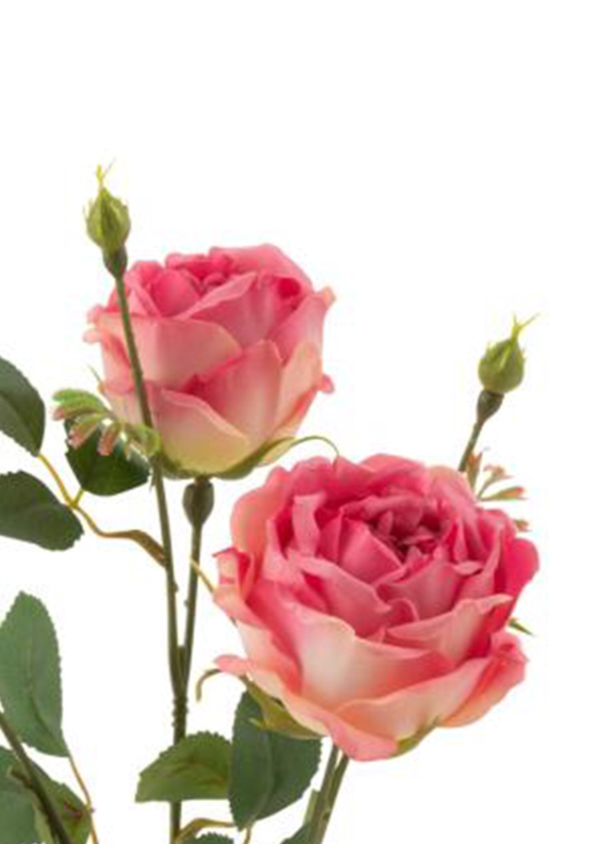 Rosas_de_tecido_com_caule_e_folhas_Rose_DE1_slim