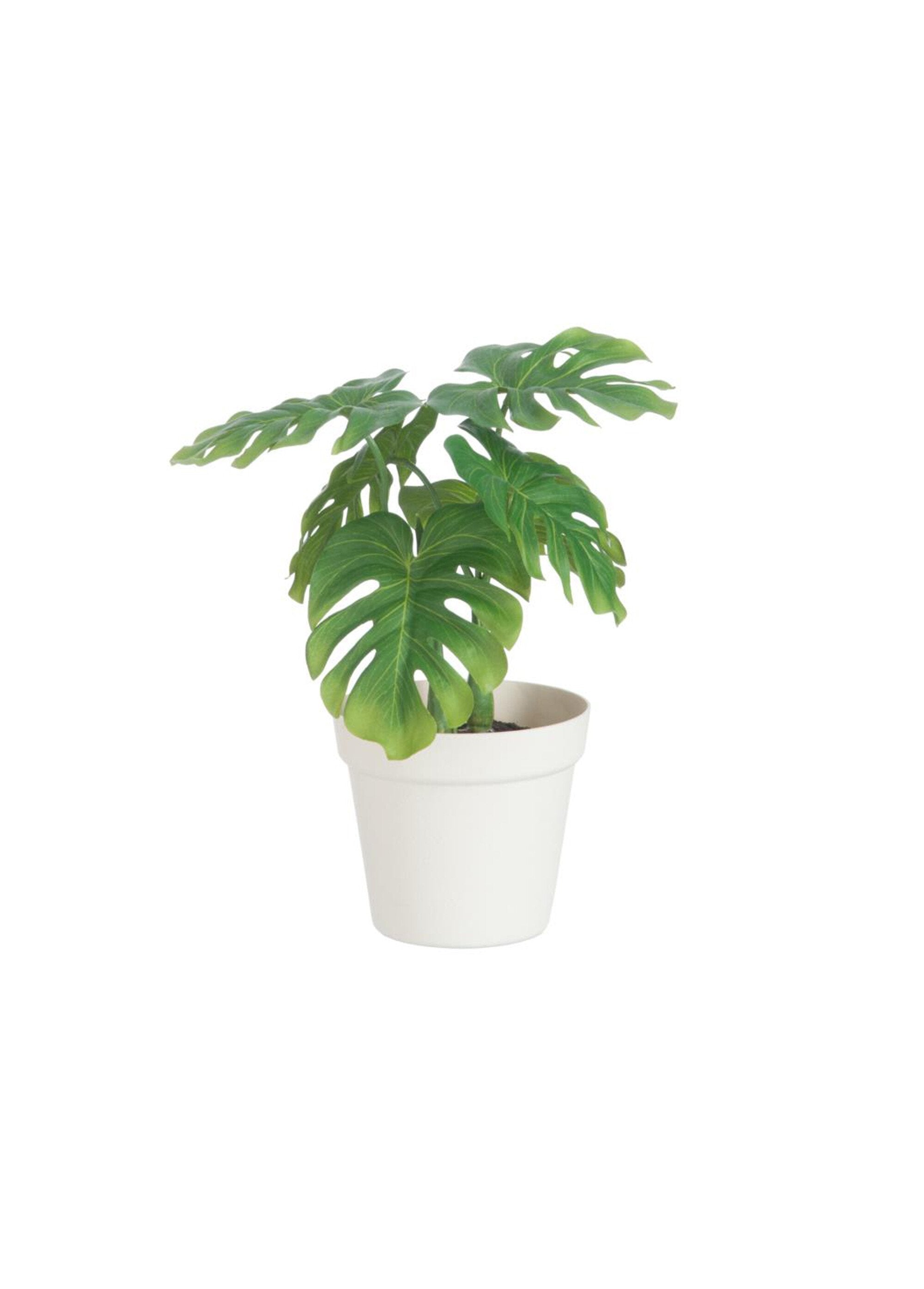 Planta_de_tecido_verde_com_vaso_Vert_FA1_slim