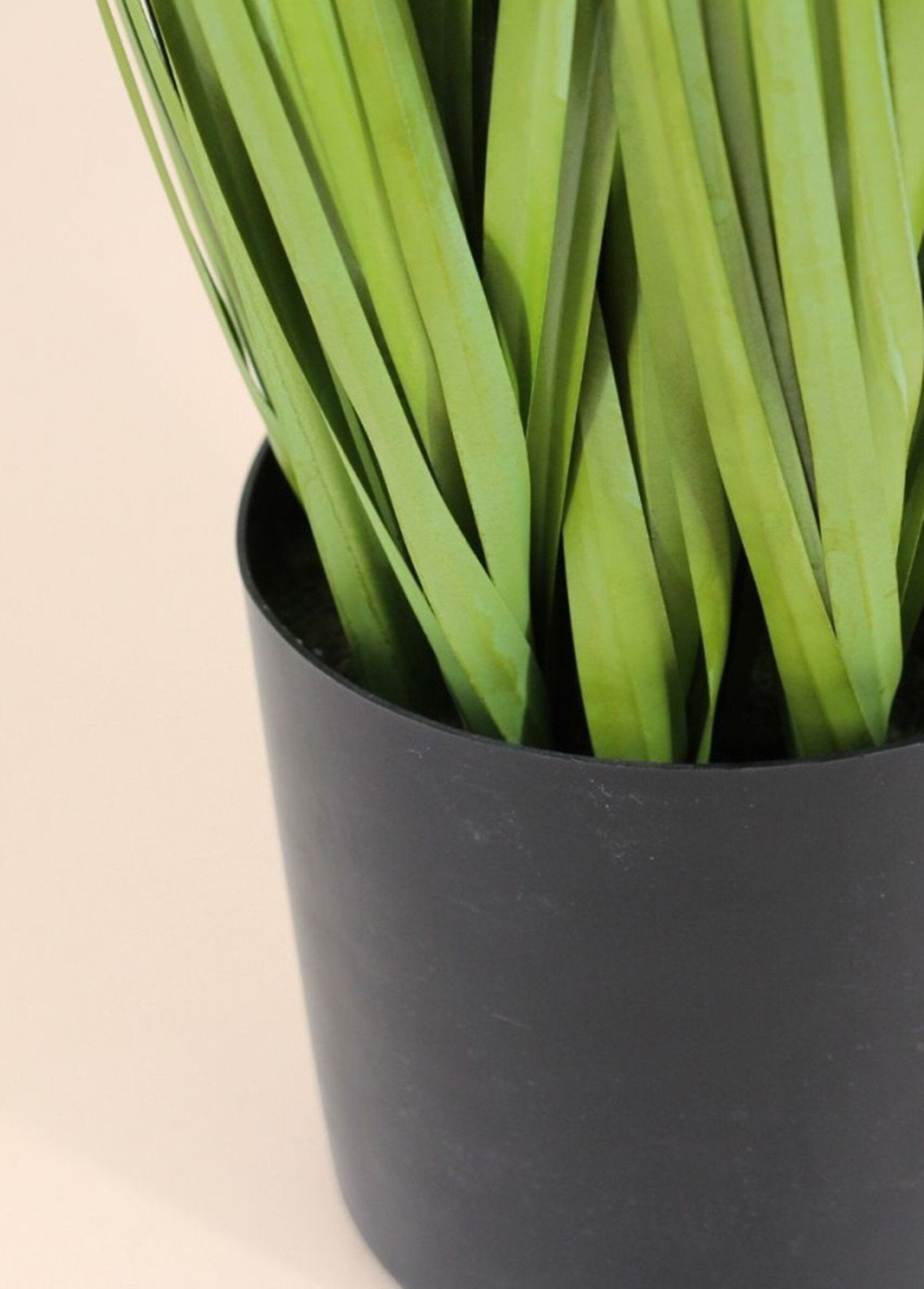 Planta_artificial_Erva-dos-pampas_Noir_DE2_slim