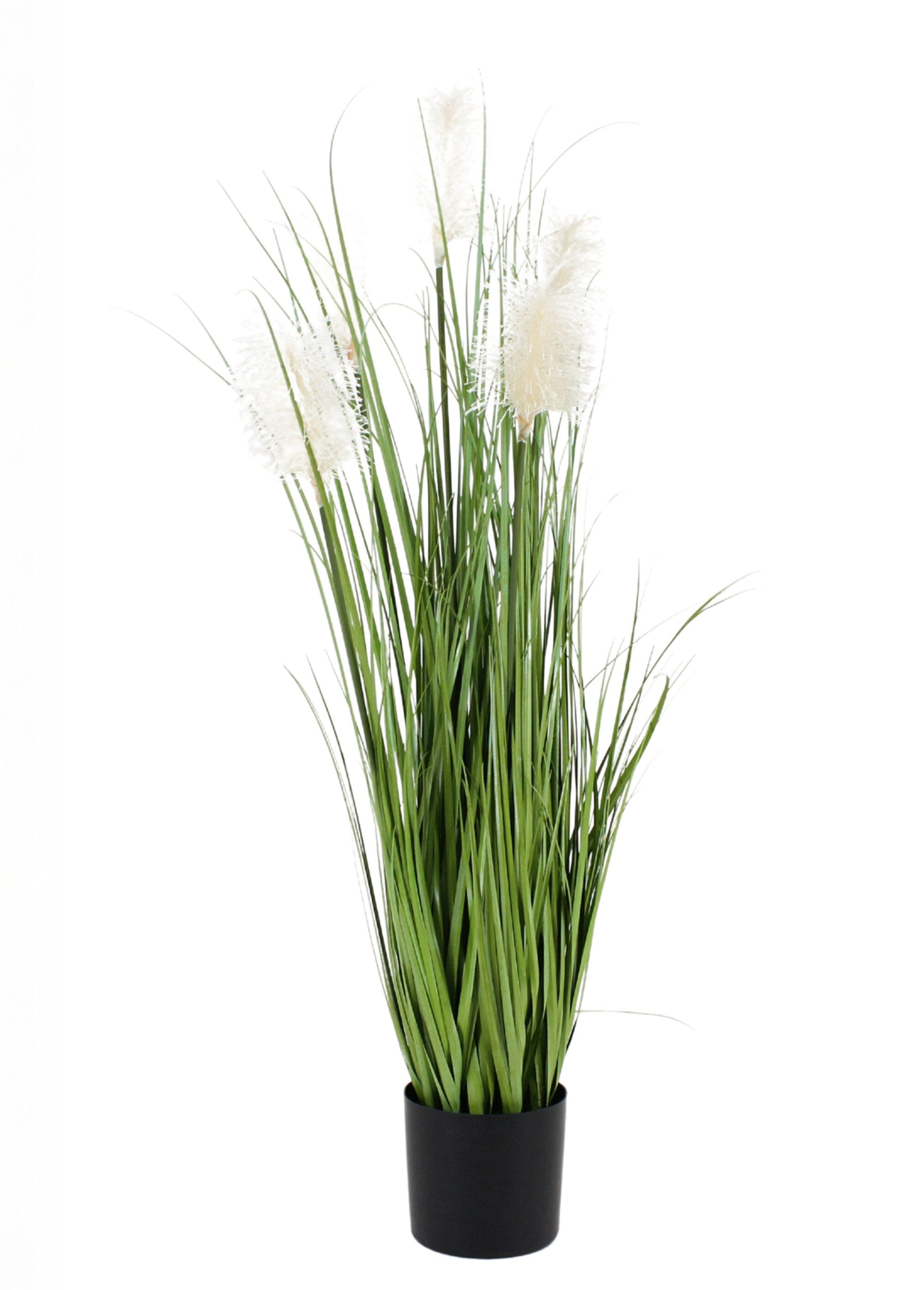 Plante_artificielle_Herbe_de_la_pampa_Noir_FA1_slim