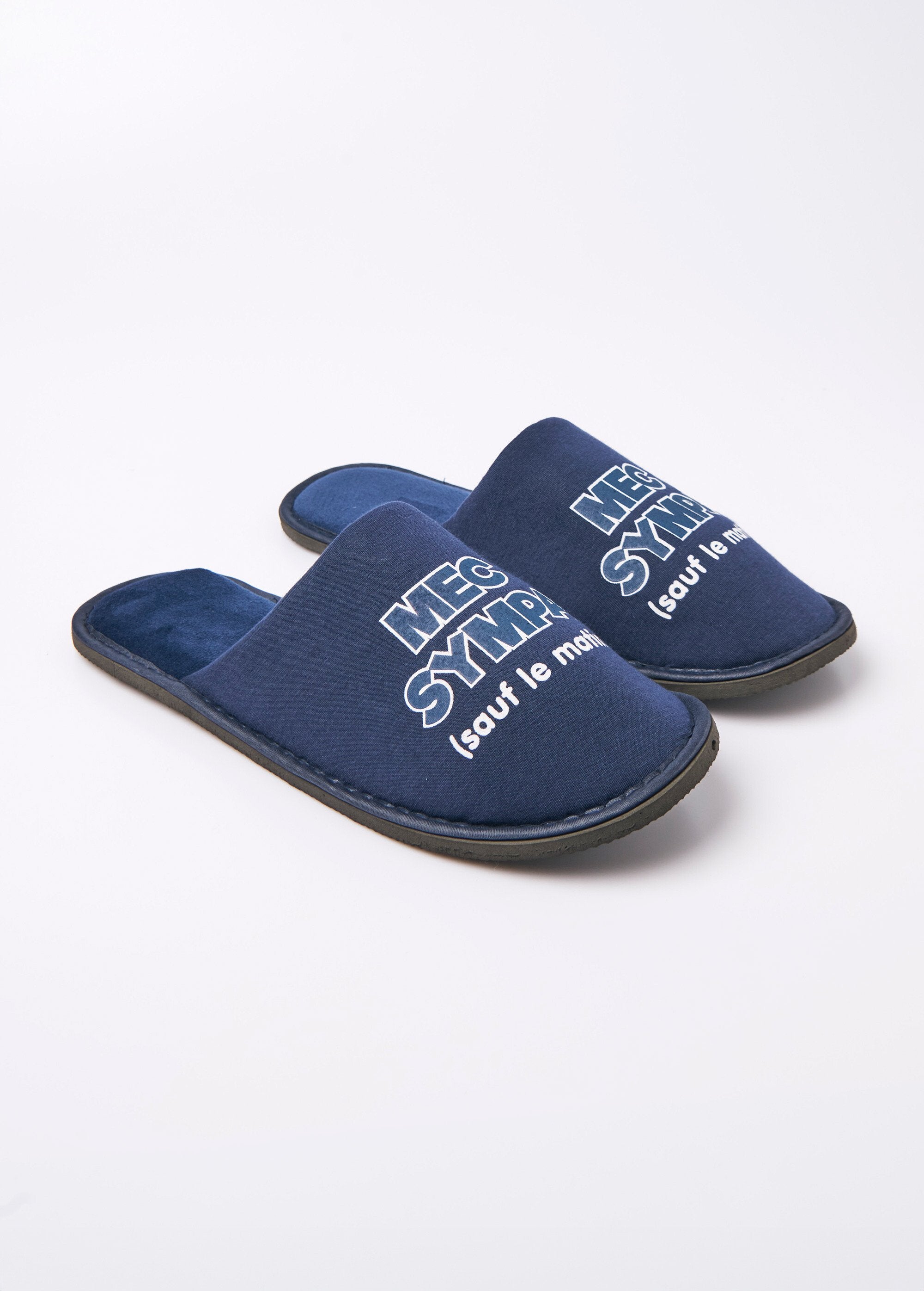 Pantufas_de_mula_com_mensagem_engraçada_Bleu_FA1_slim